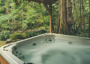 Moondance Cabin - Meredith Lodging